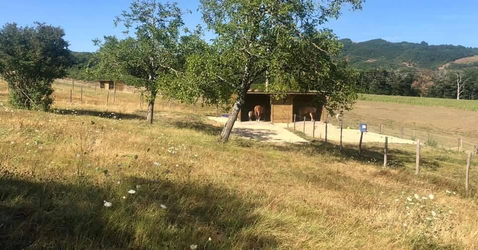 Augitele Gîte le Franquet – Sweety Ranch - Auvergne-Rhône-Alpes Tourisme