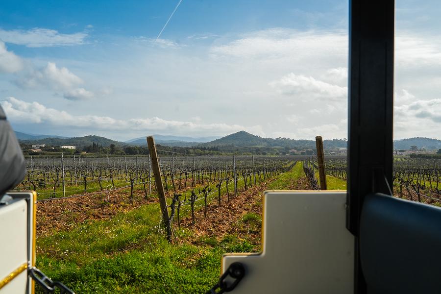 Petit train des vignes - Balade au cœur du terroir londais_La Londe-les-Maures