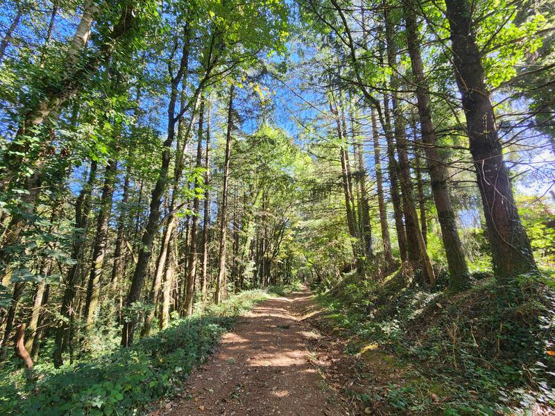 La vallée de la Blaze