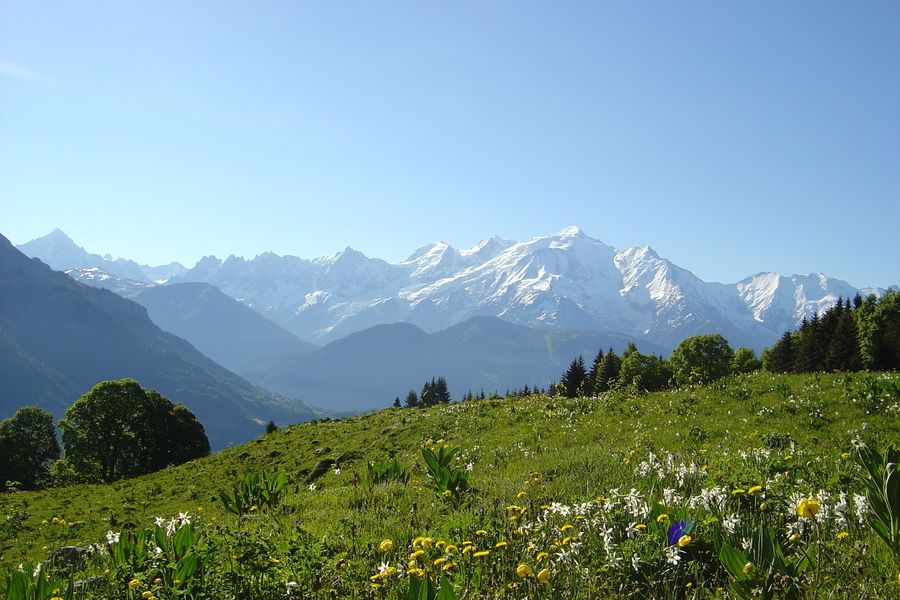 vue Mont-Blanc