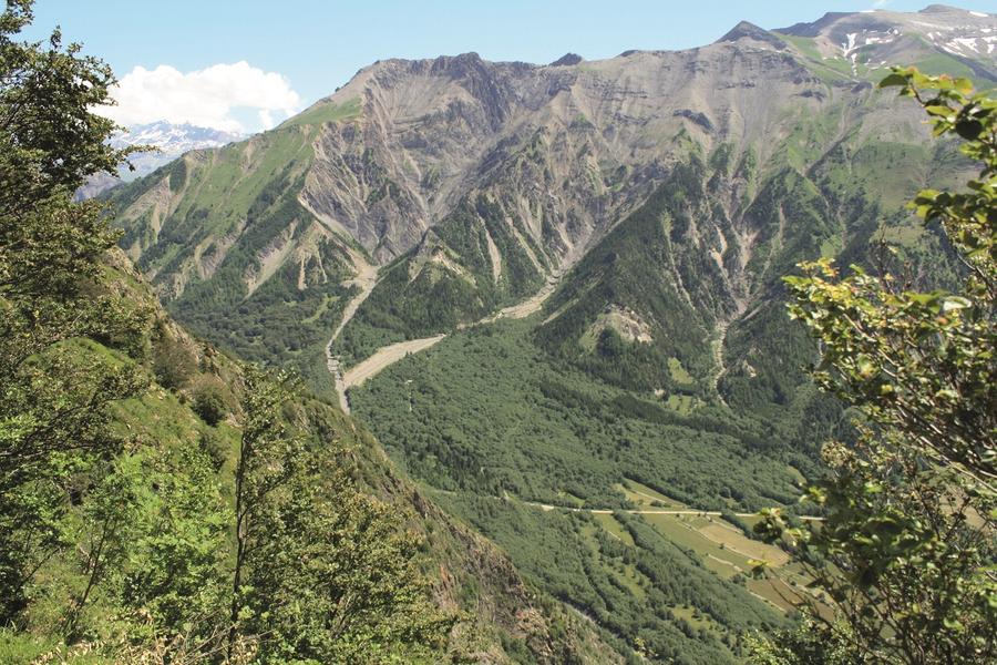 La forêt des Roudons