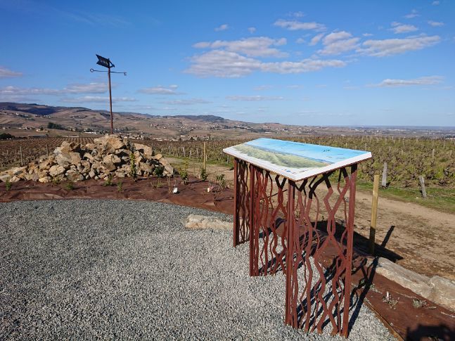 Balade de la Côte du Py Villie Morgon