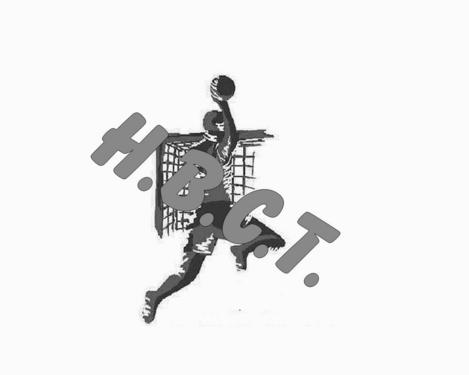 Atlantique Seudre Handball