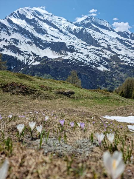 Circuit de randonnée : Nazonde_Sainte-Foy-Tarentaise