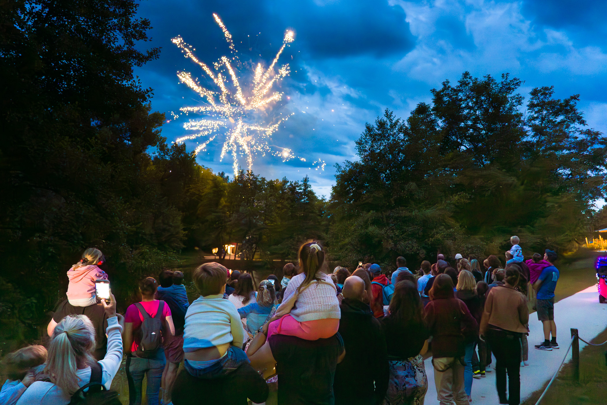 Les soirées spectacle du Bois des Lutins