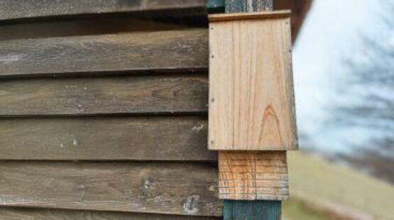 Les ateliers du jardin - Abri à chauve-souris_Allex