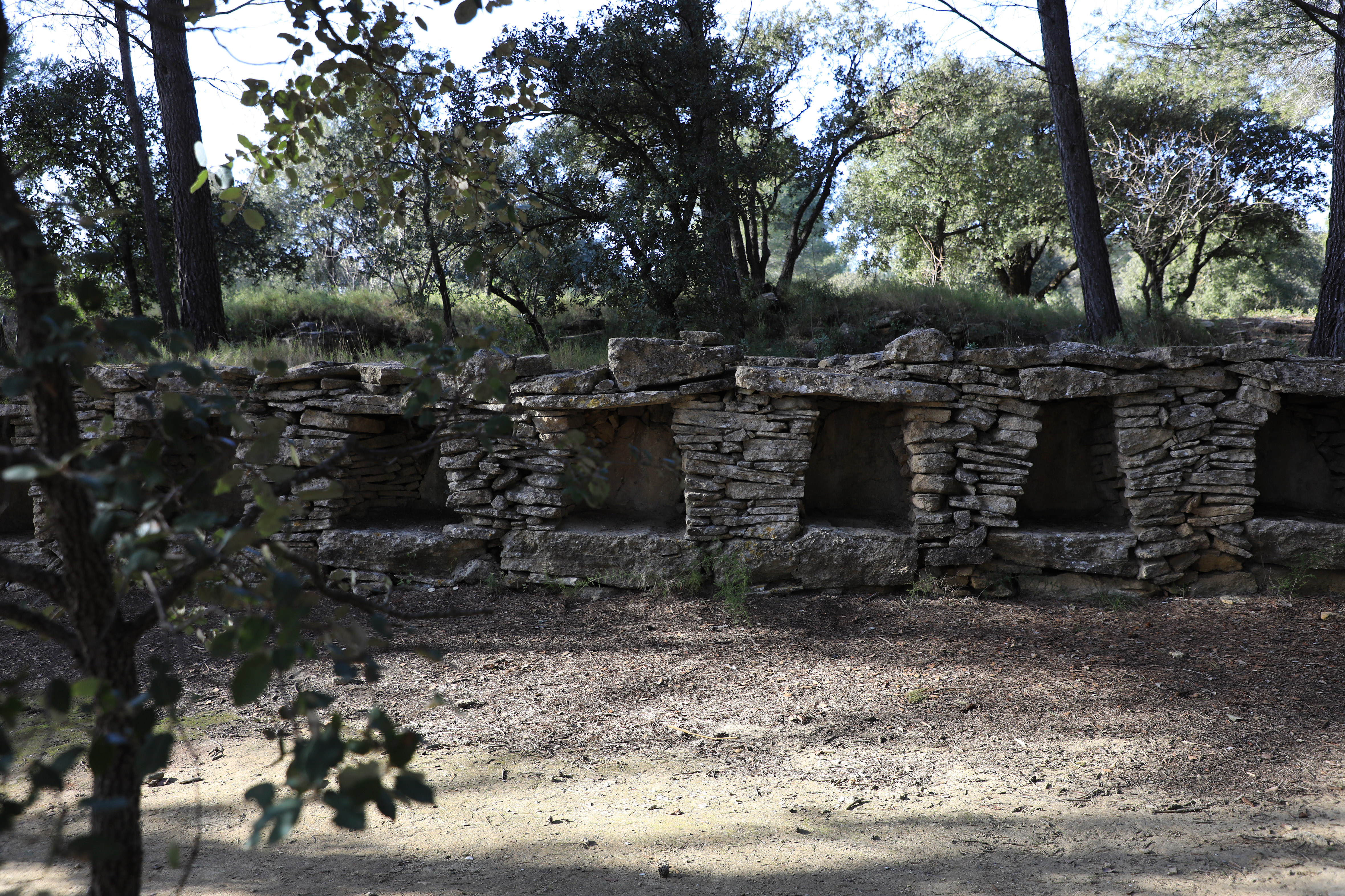 Cornillon-Confoux - Sentier du Mur des Abeilles, Cornillon-Confoux - photo 6