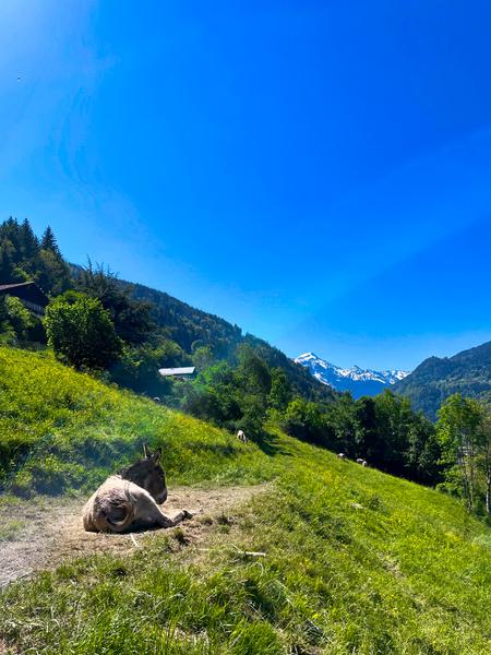 Boucle Cheminée des fées en passant par le Berchat