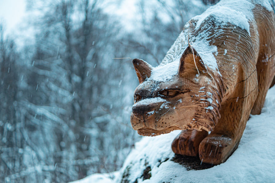 Sentier Lez'arts en Adret