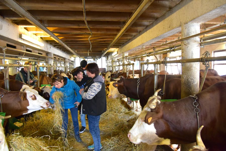 GAEC Barbossine L'Etable