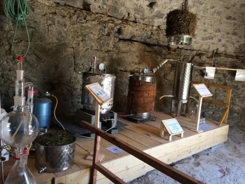 De Ferme en Ferme : Visite de la distillerie du Bois de Païolive