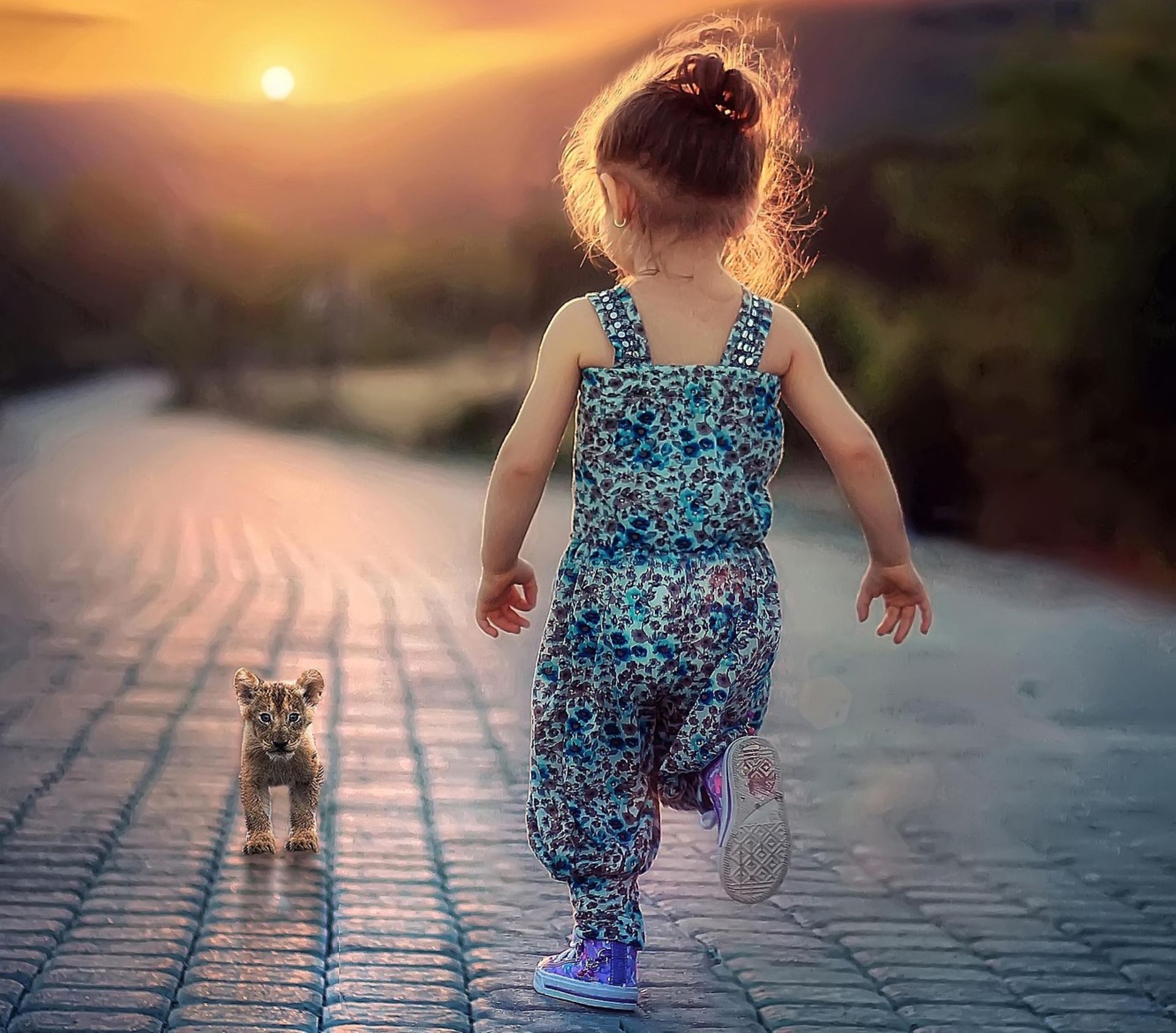 Atelier motricité et jeu_Félines