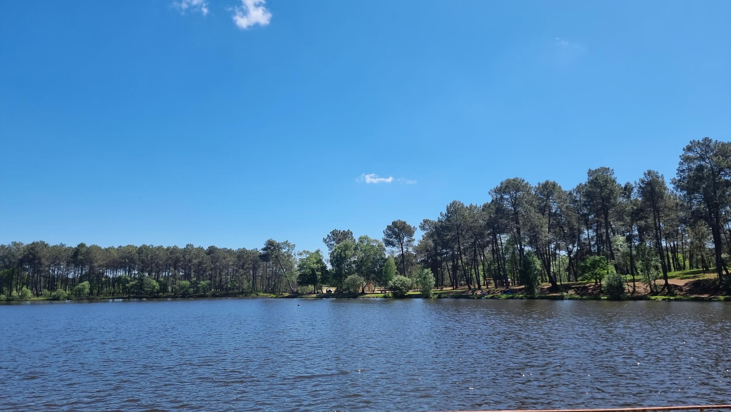 Pêche lacher de truites au lac baron desqueyroux