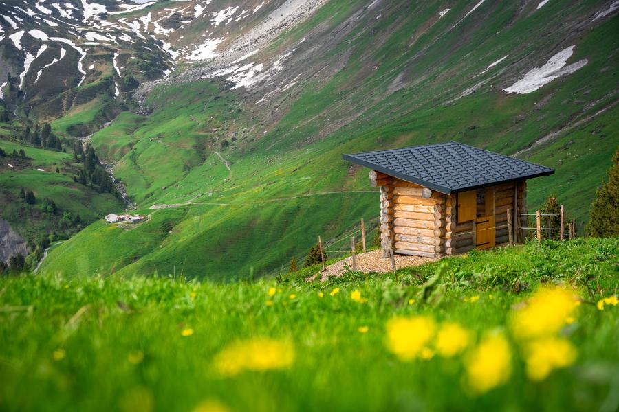Observatoire de la Faune