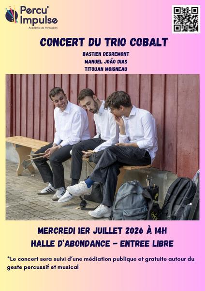 Affiche concert trio Cobalt Percu'Impulse