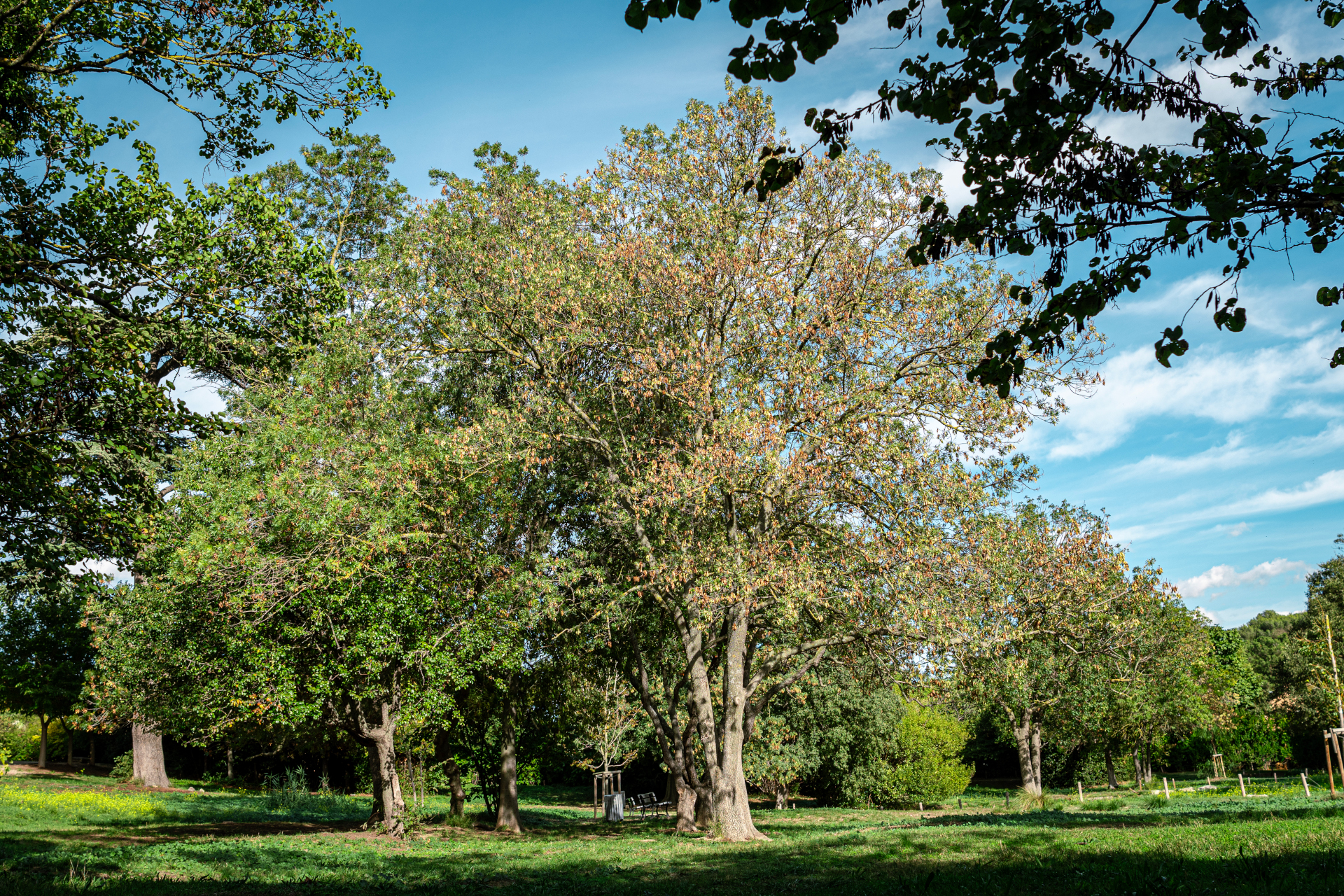 Parc  de la Buzine, Marseille 11e Arrondissement - photo 2