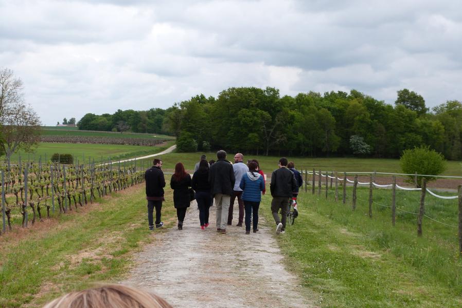 Balade du Logis - Vignoble Chauraud