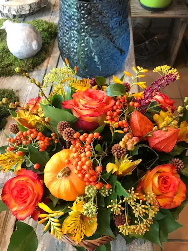 Fleuriste Fleur De Cactus