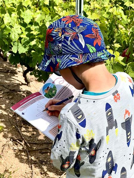 Balade pédagogique Sur les Pas du Vigneron_Fleurie