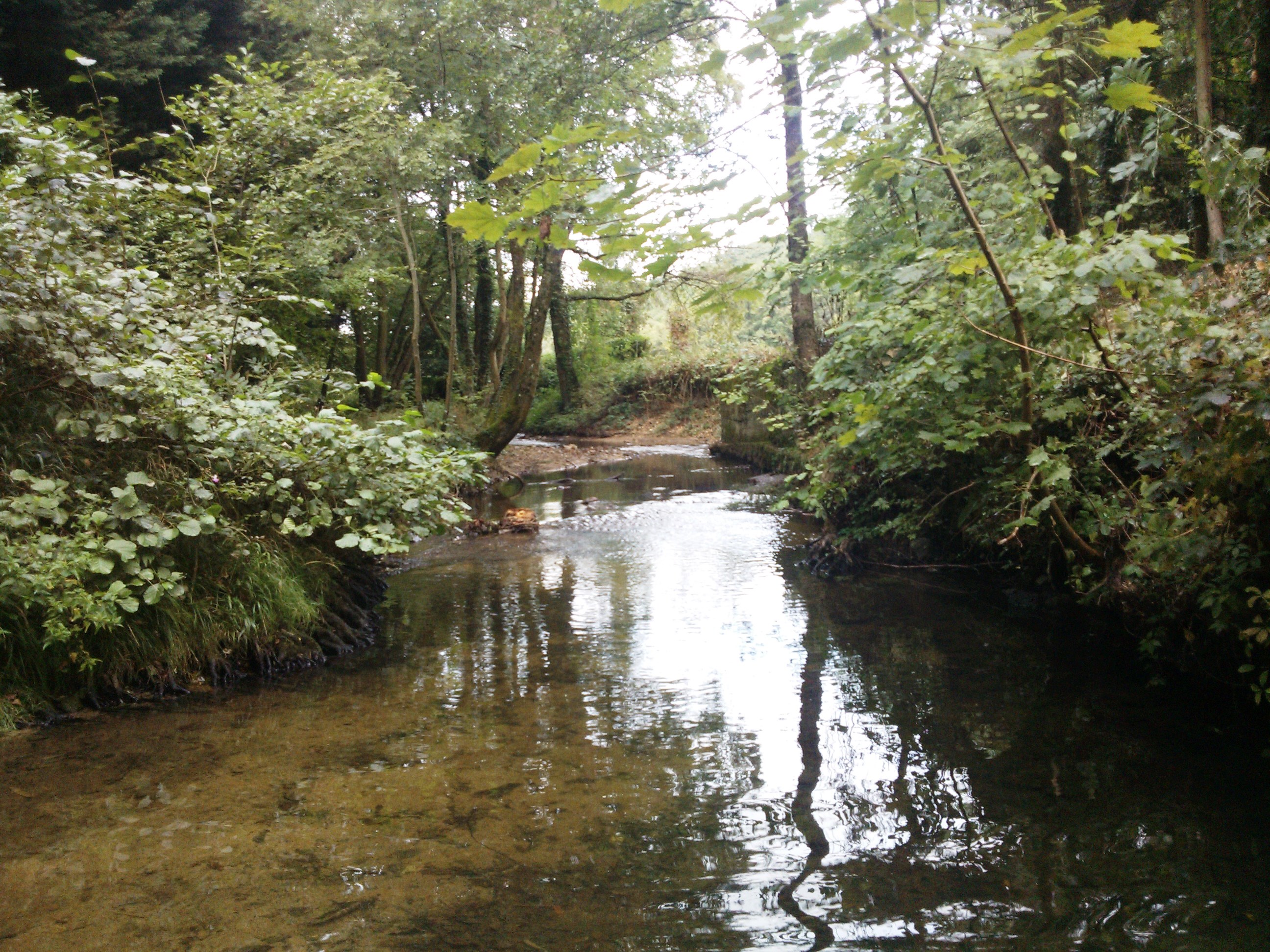 peche truite yzeron