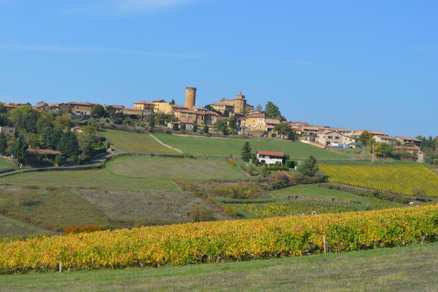 Domaine de Fond-Vieille