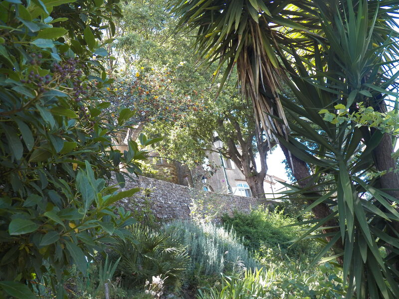 Jardin remarquable L'Hardy à Gassin - https://gassin.eu