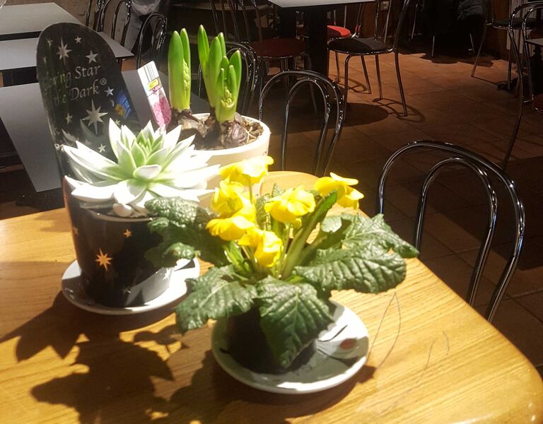 Bar des 2 Savoies à Faverges