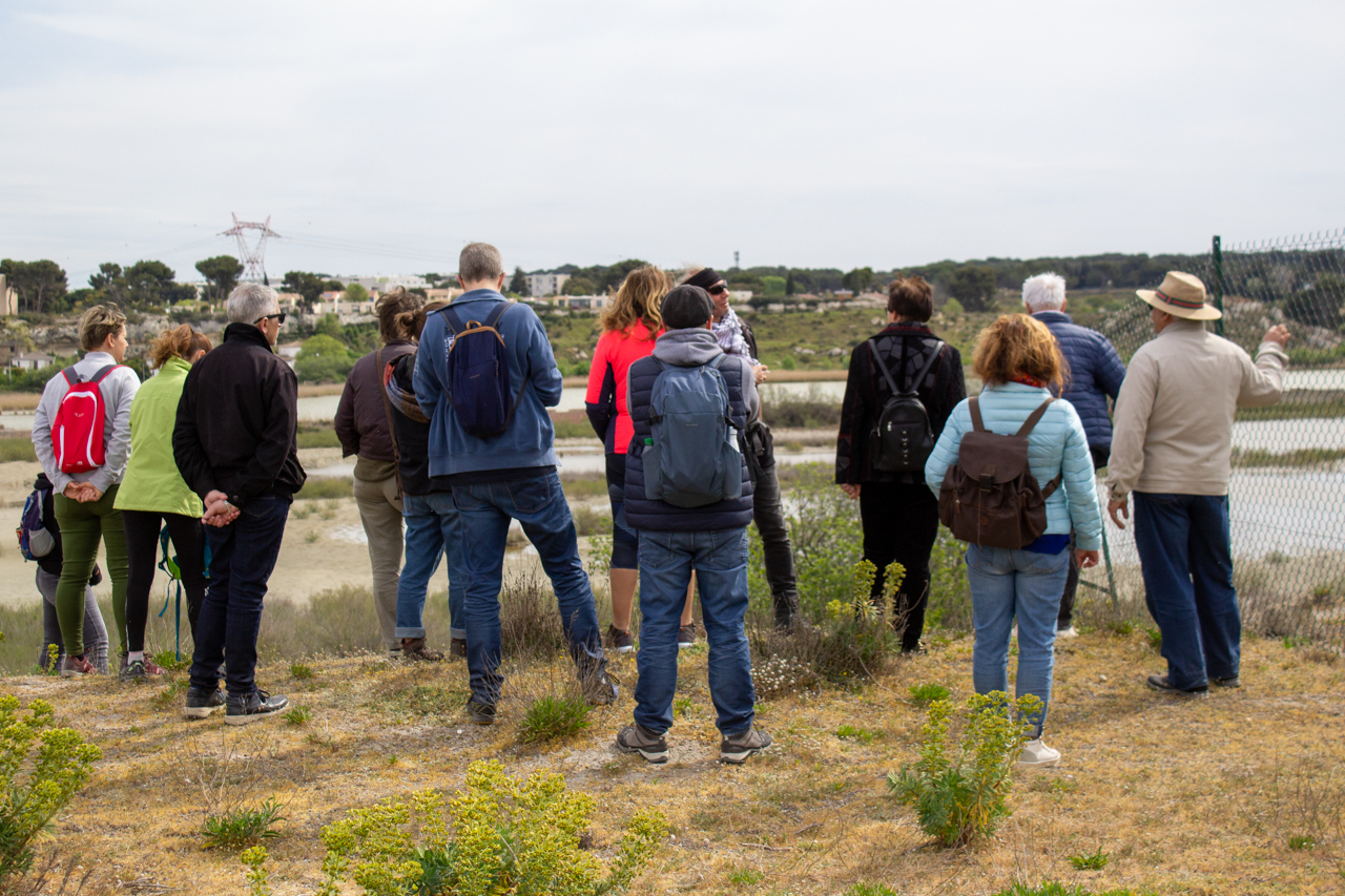 Éco-balade : Découverte de la faune et de la flore des anciens salins de Rassuen