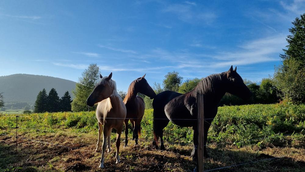 En passant par Laschamps