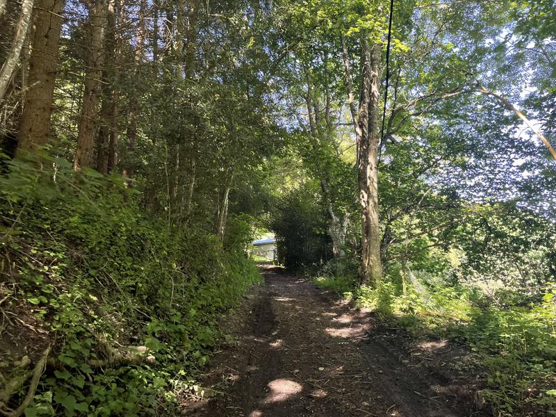 Chemin de la Pierre Merlière