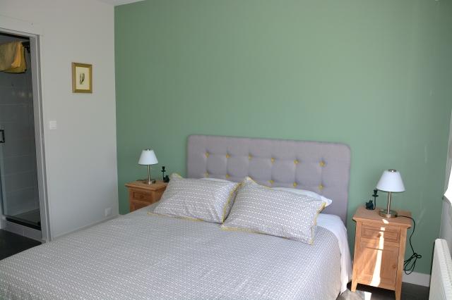 Une chambre avec un lit double.