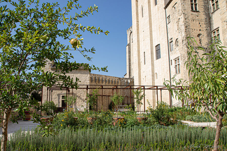 Jardins du Palais des papes