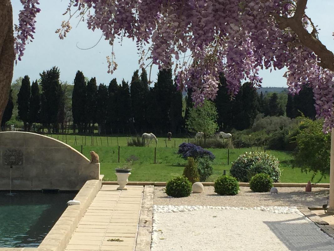 Les Gîtes Maussane - Le Mazet De Maïs, Maussane-les-Alpilles - photo 30