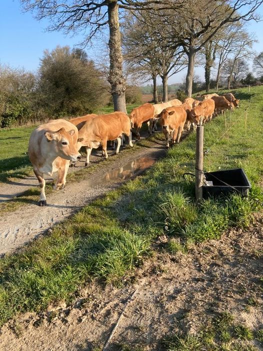 175403741_138462218238683_1113454222611685324_n