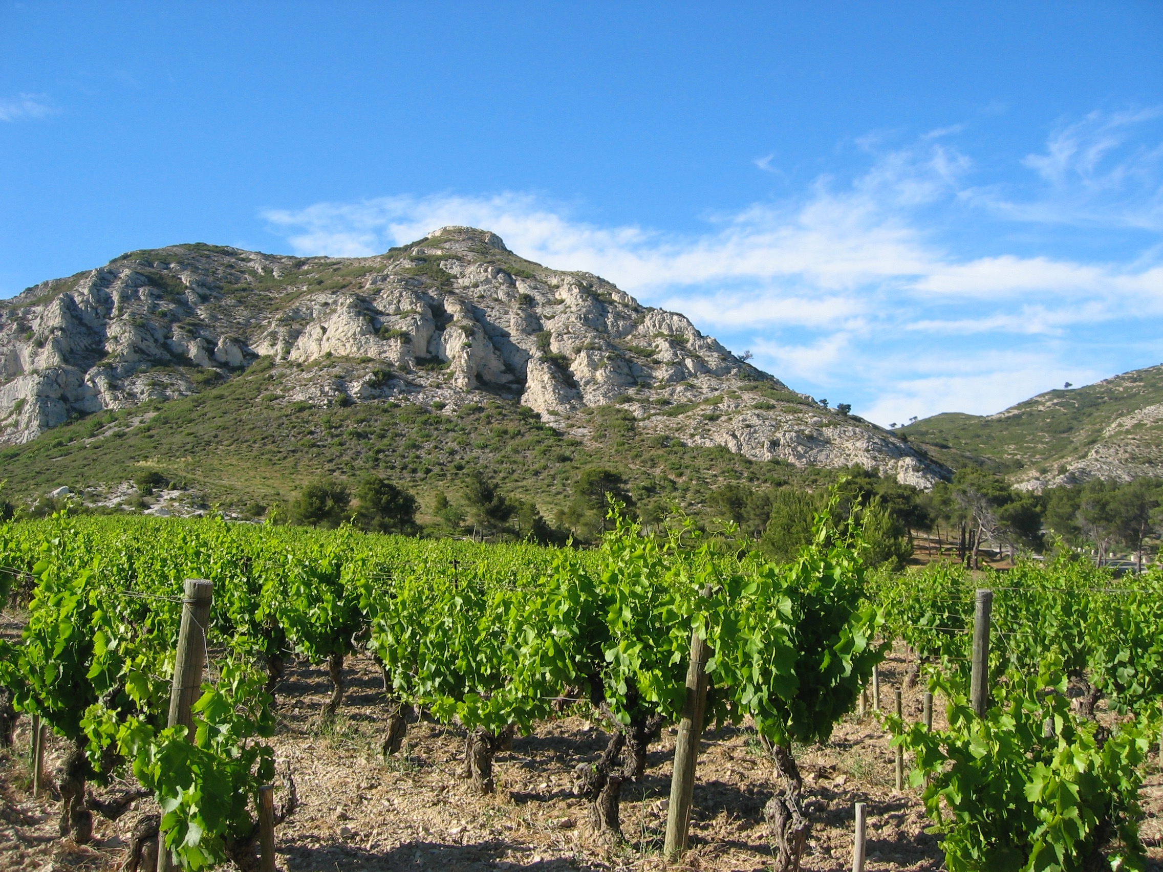 Mas de la Dame, Les Baux-de-Provence - photo 5