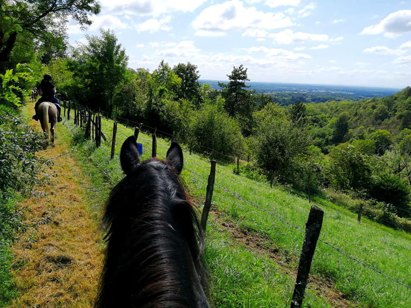 Circuit des Côteaux du Revermont
