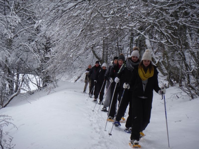 Rando raquettes découverte (2h) - Bureau des Guides d'Auvergne