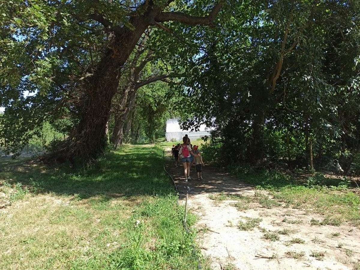 La petite ferme pédagogique de Saint-Rémy - photo 5