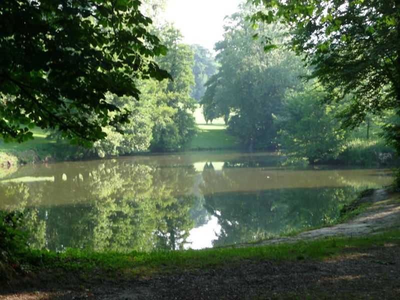 Etang de pêche de Cibeins