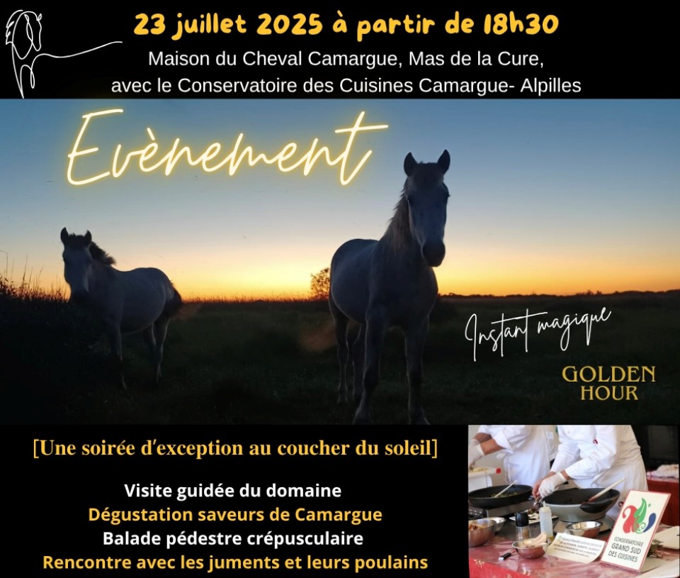 Soirée d’exception au coucher du soleil à la Maison du Cheval Camargue