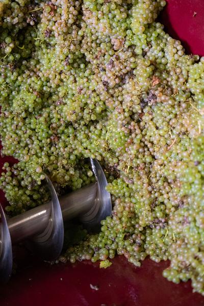 Domaine Bernard et Christophe Richel_Saint-Baldoph