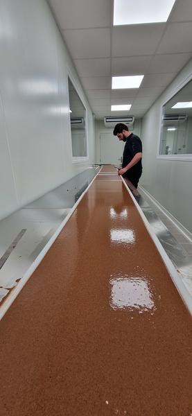 Un très long moule de chocolat en préparation.