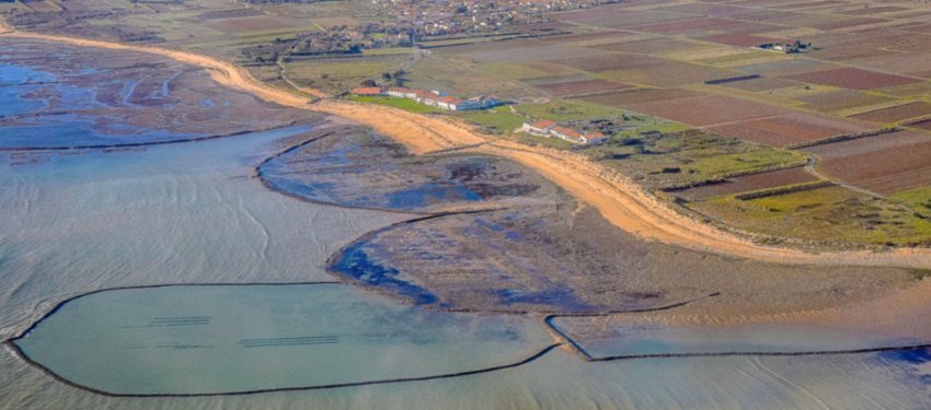 Les écluses à poissons de Sainte-Marie-de-Ré