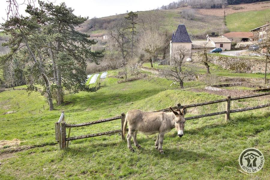 Grand Gîte - 15 personnes - \