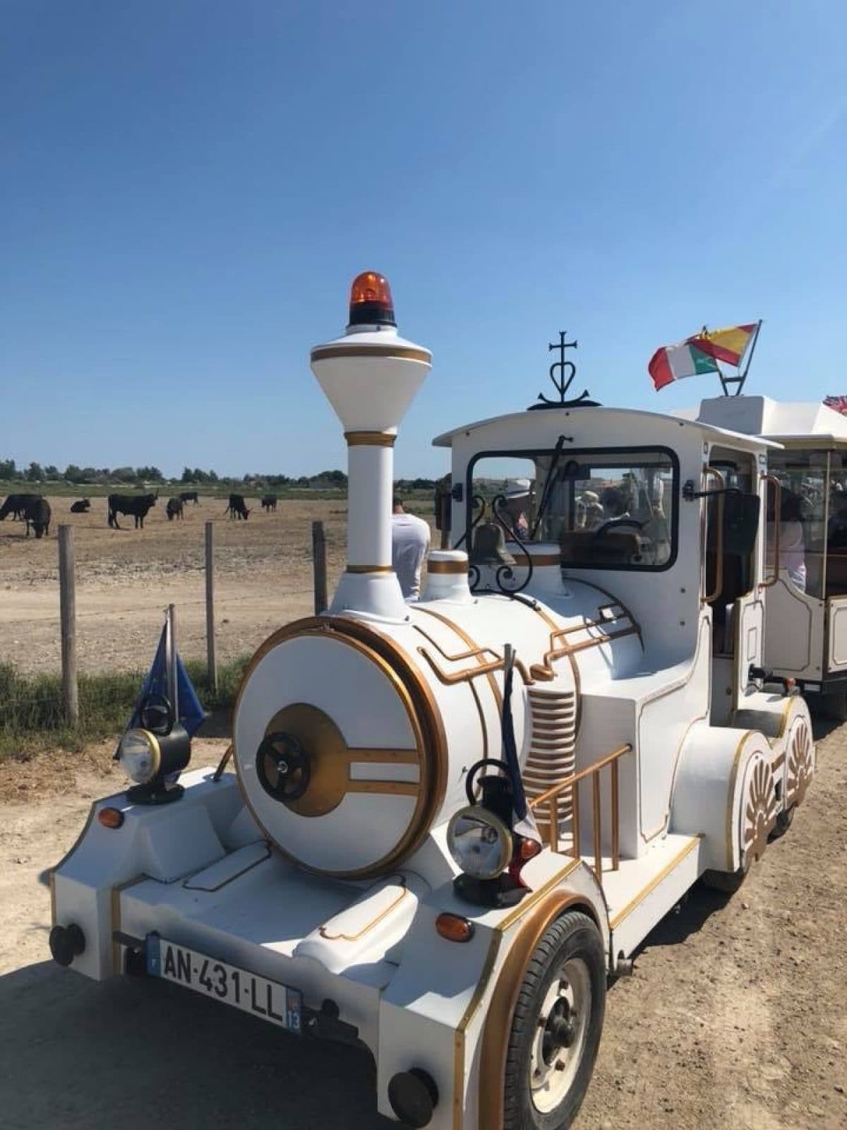 Le Petit Train Camarguais