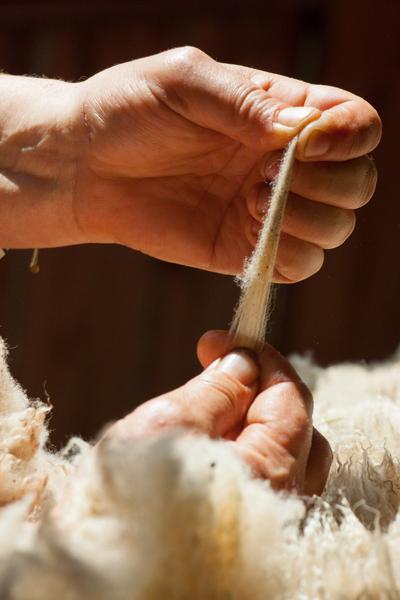 Atelier création de fleurs en laine feutrée à la Ferme du Lambert_Collobrières