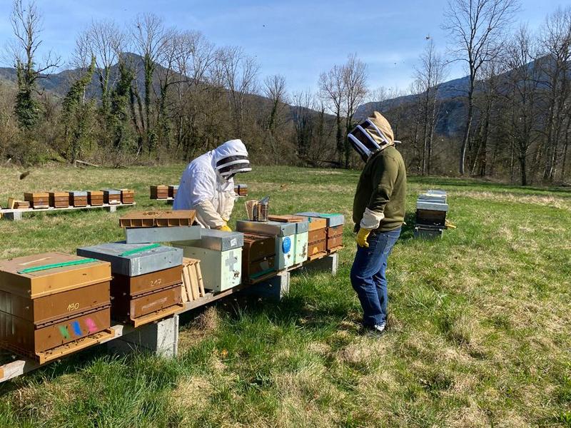Découverte du rucher_Les Échelles