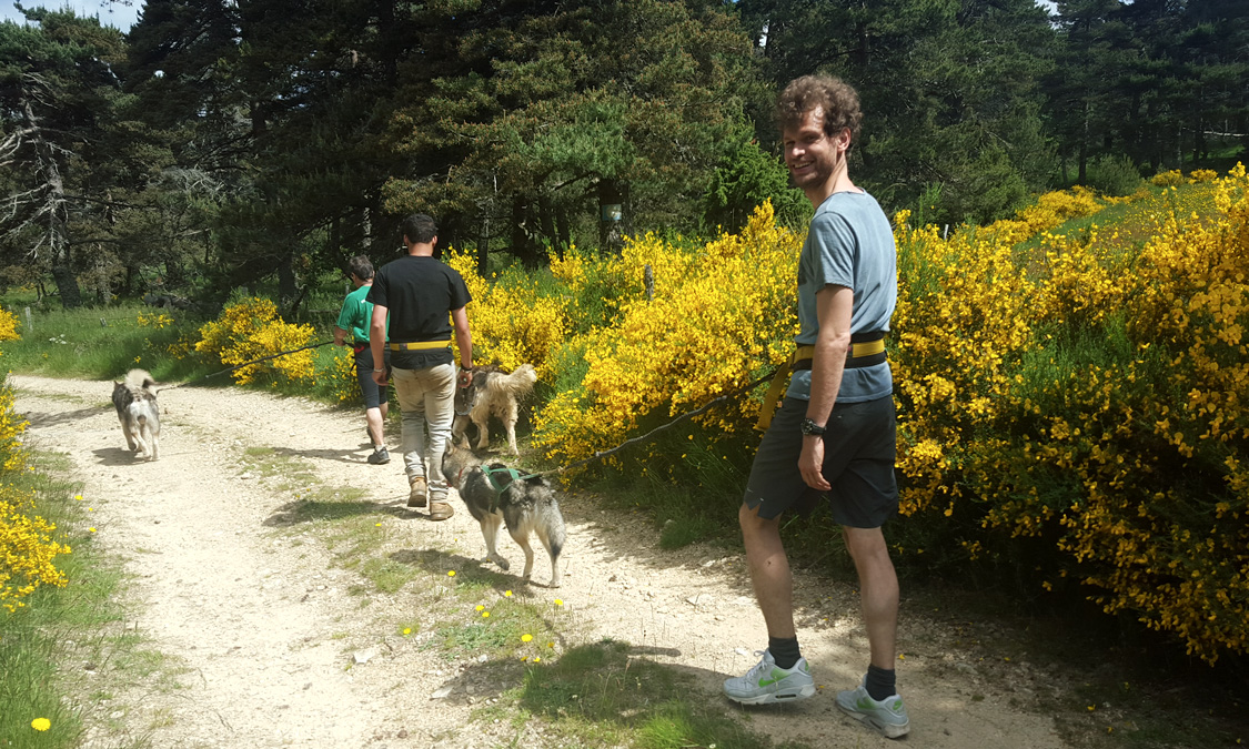 Cani-rando - Animation Nature