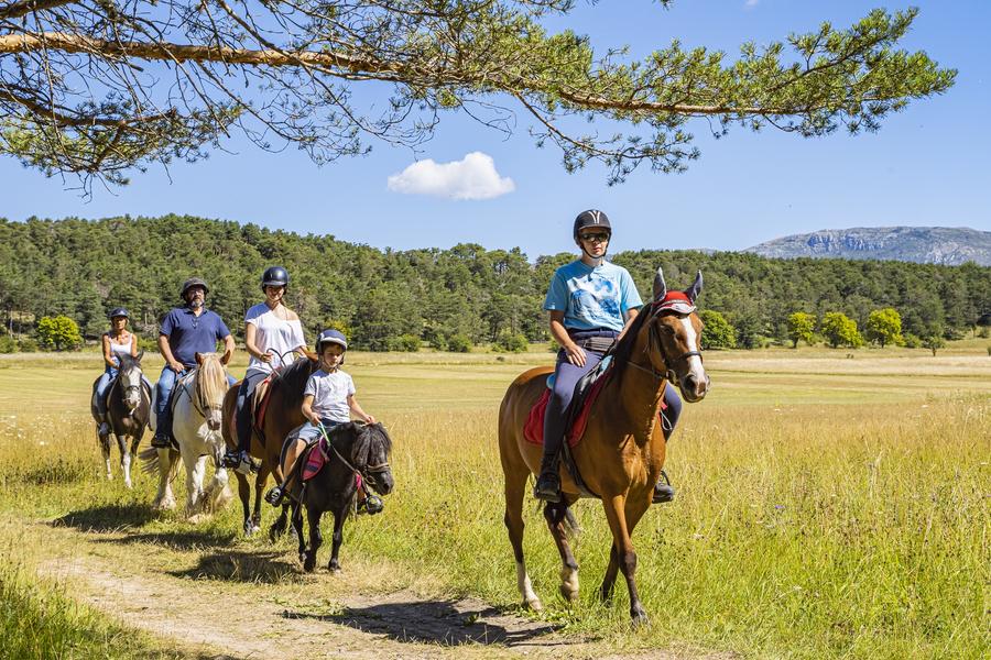 Route Napoléon à cheval