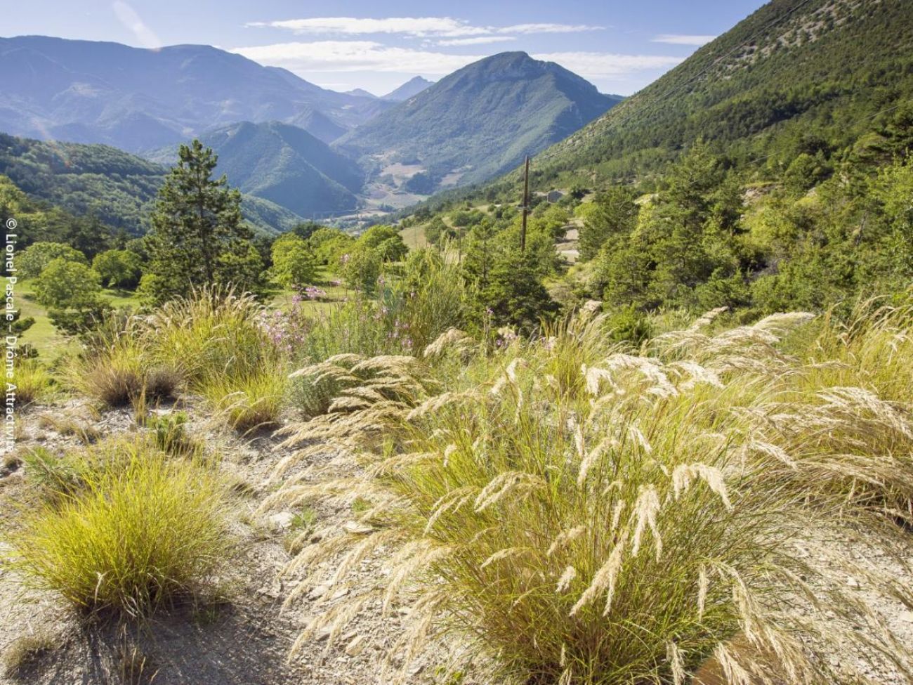 Le col du Lauzat